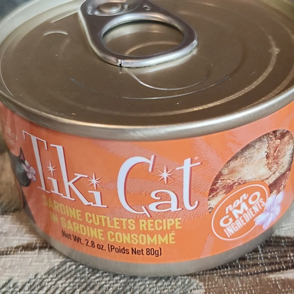 PETS: CAT FEEDER & BOWL SUPPLIES